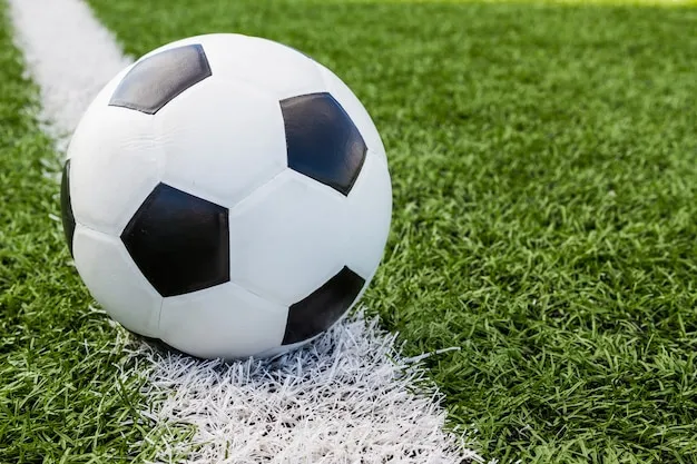 球迷在手机上观看比赛